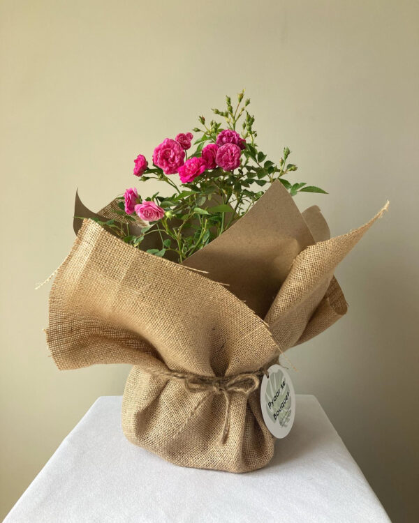 Miniature Rose Plant Bouquet